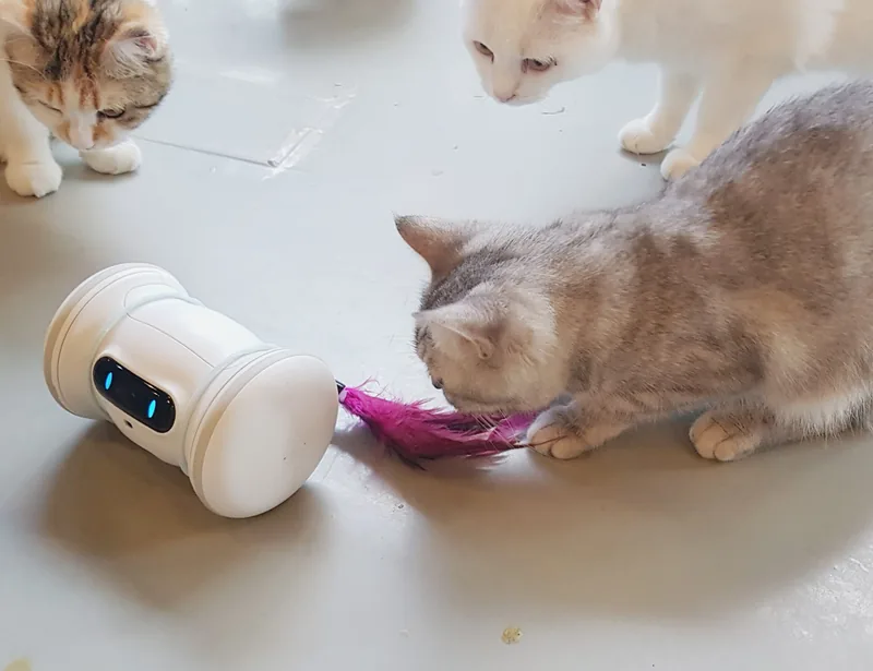 Pet Fitness Robot by VARRAM