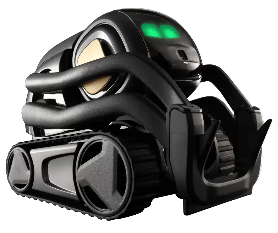 Vector by Anki