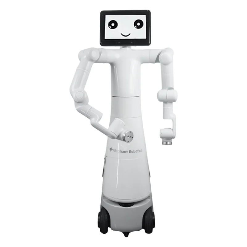 Mercury X1 by Elephant Robotics