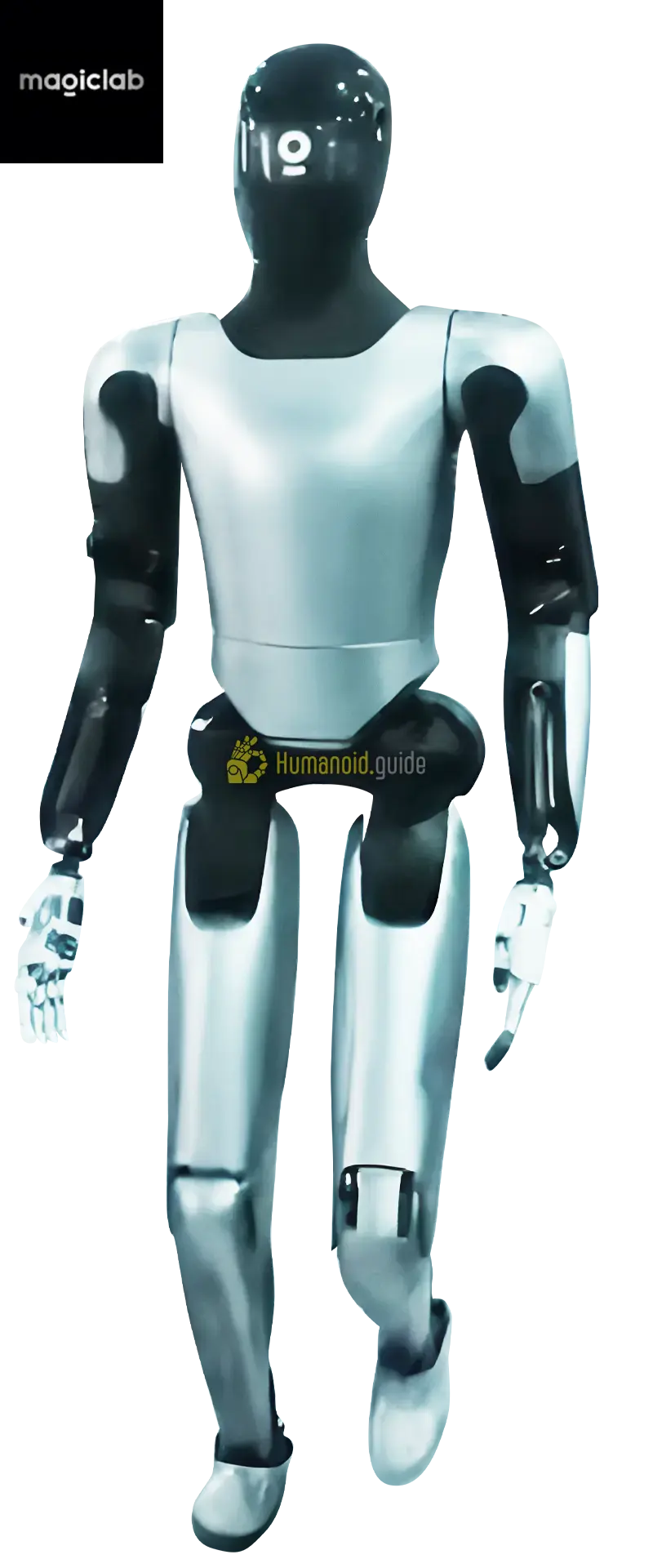 MagicBot by MagicLab