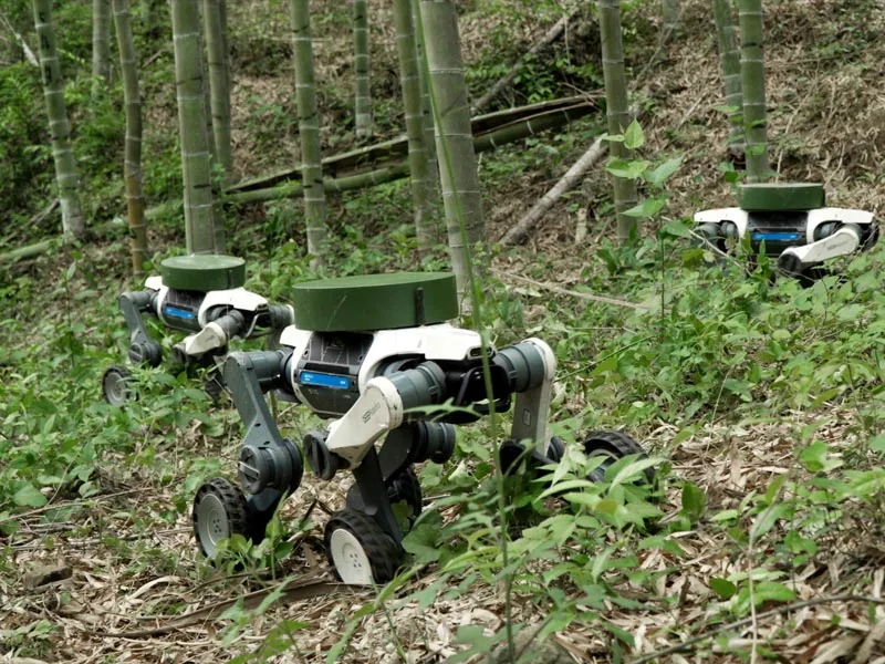 Lynx S10 by DEEP Robotics