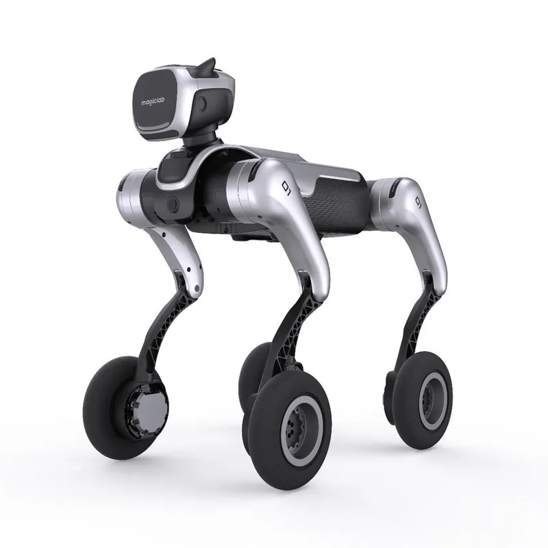 MagicDog-W by MagicLab
