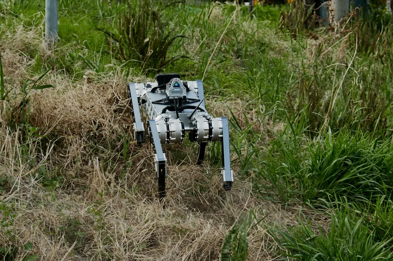 RAIBO2 by Raion Robotics