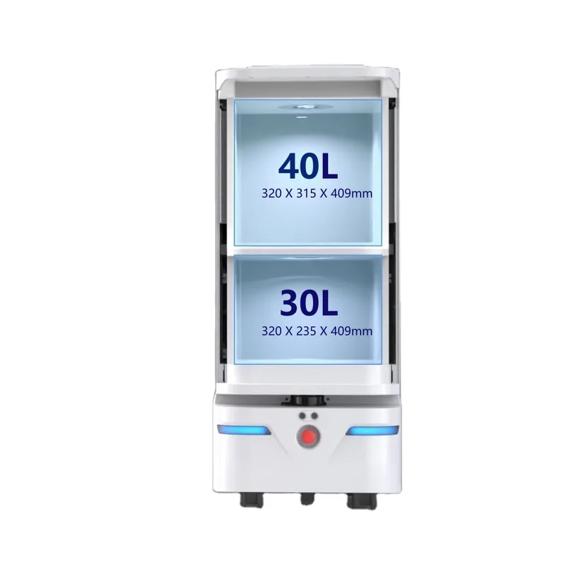 GEGE Hotel Robot by Reeman